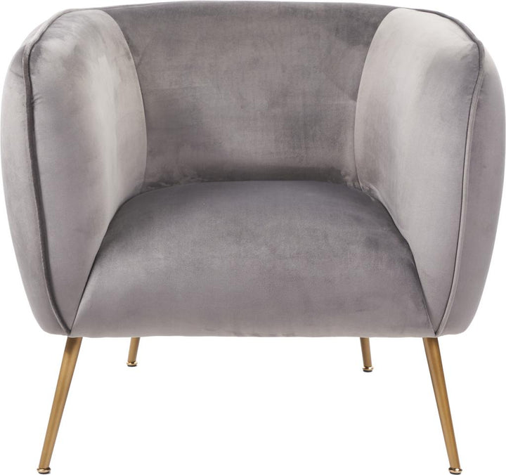 Lucca Dove Grey Velvet and Metal Armchair