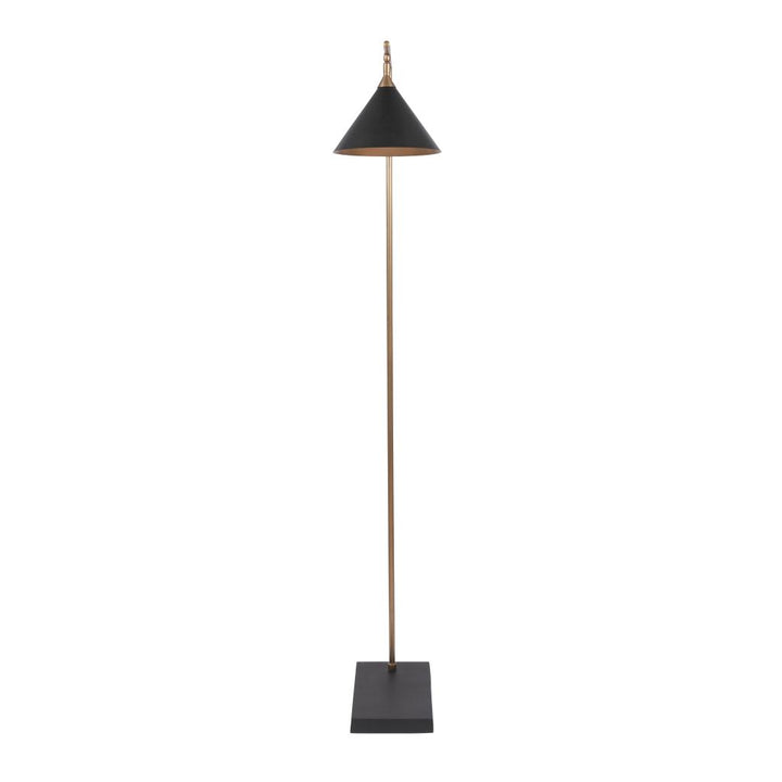 Zeta Matt Black and Antique Brass Floor Lamp