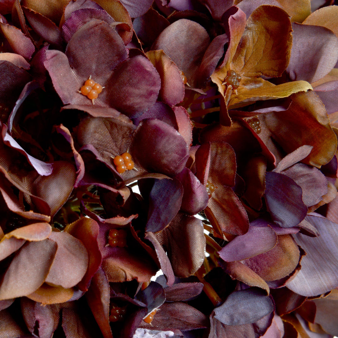 Autumn Coffee Hydrangea