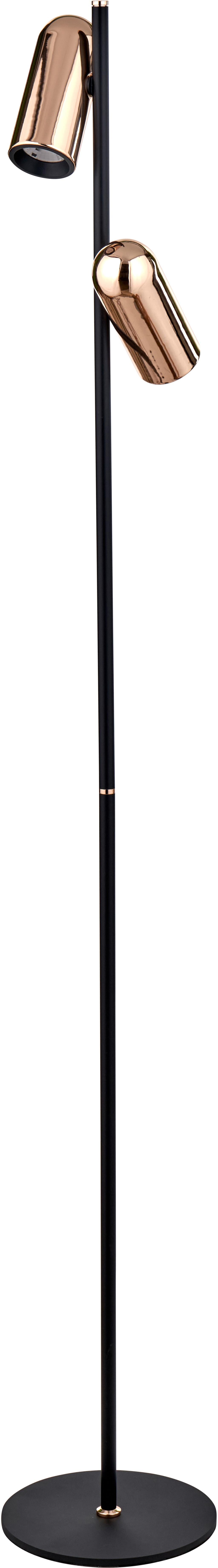 Xena Black and Rose Gold Metal LED Floor Lamp