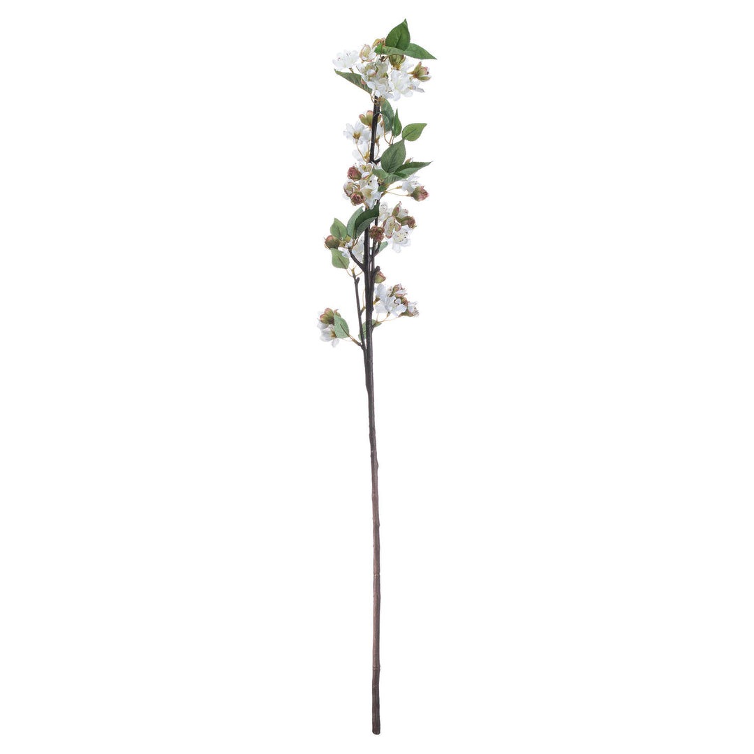 English Blossom Branch