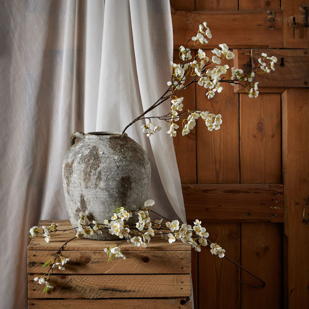 White Japanese Blossom