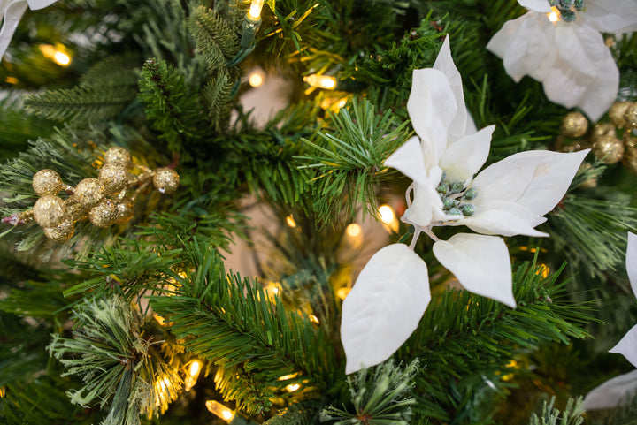 6' Colonial Fir Tree 200 Warm White LED Lights With 20 White Poinsettia & 16 Golden Berries In White Drum Base