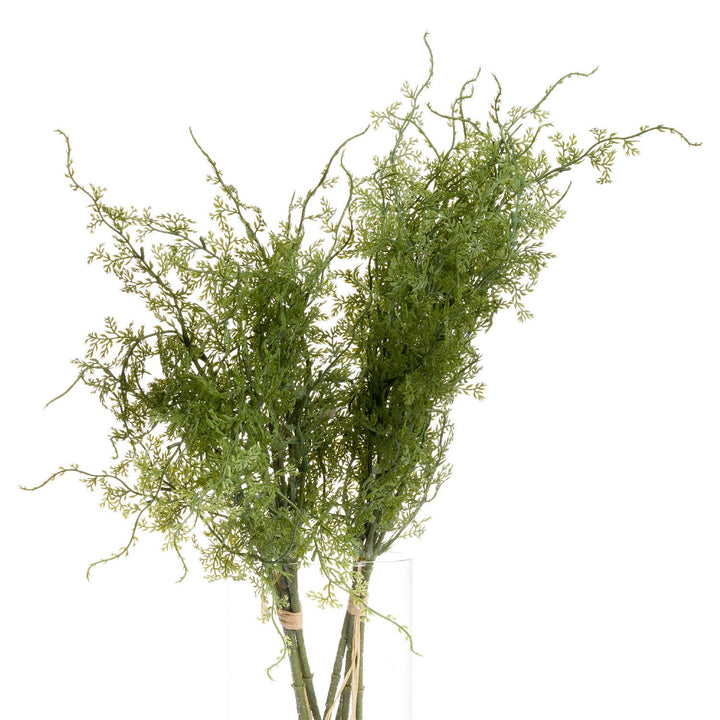 Asparagus Fern Bunch - Modern Rattan Ltd