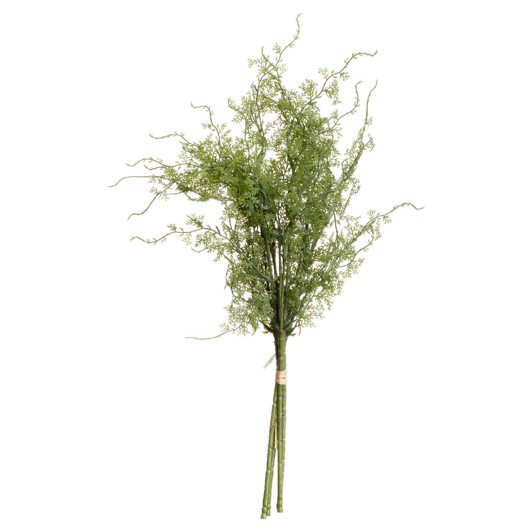 Asparagus Fern Bunch - Modern Rattan Ltd