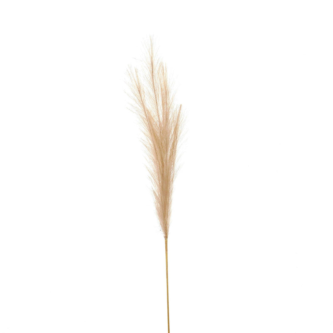 Bleached Faux Pampas Grass Stem - Modern Rattan Ltd