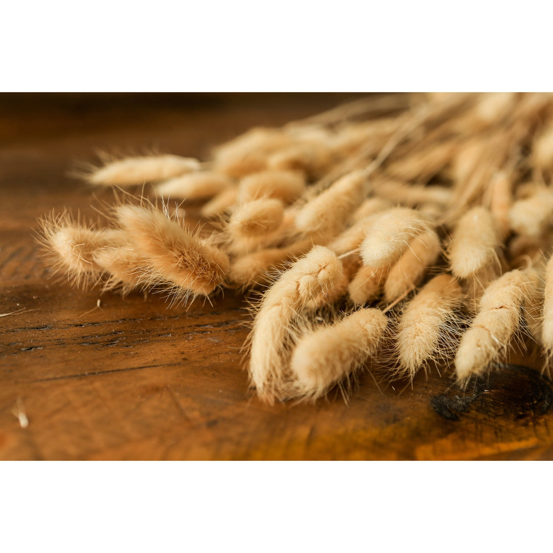 Bouquet Of Tall Bunny Tails - Modern Rattan Ltd