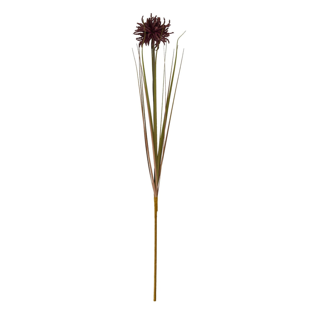 Burgundy Aster Spider Chrysanthemum Stem - Modern Rattan Ltd