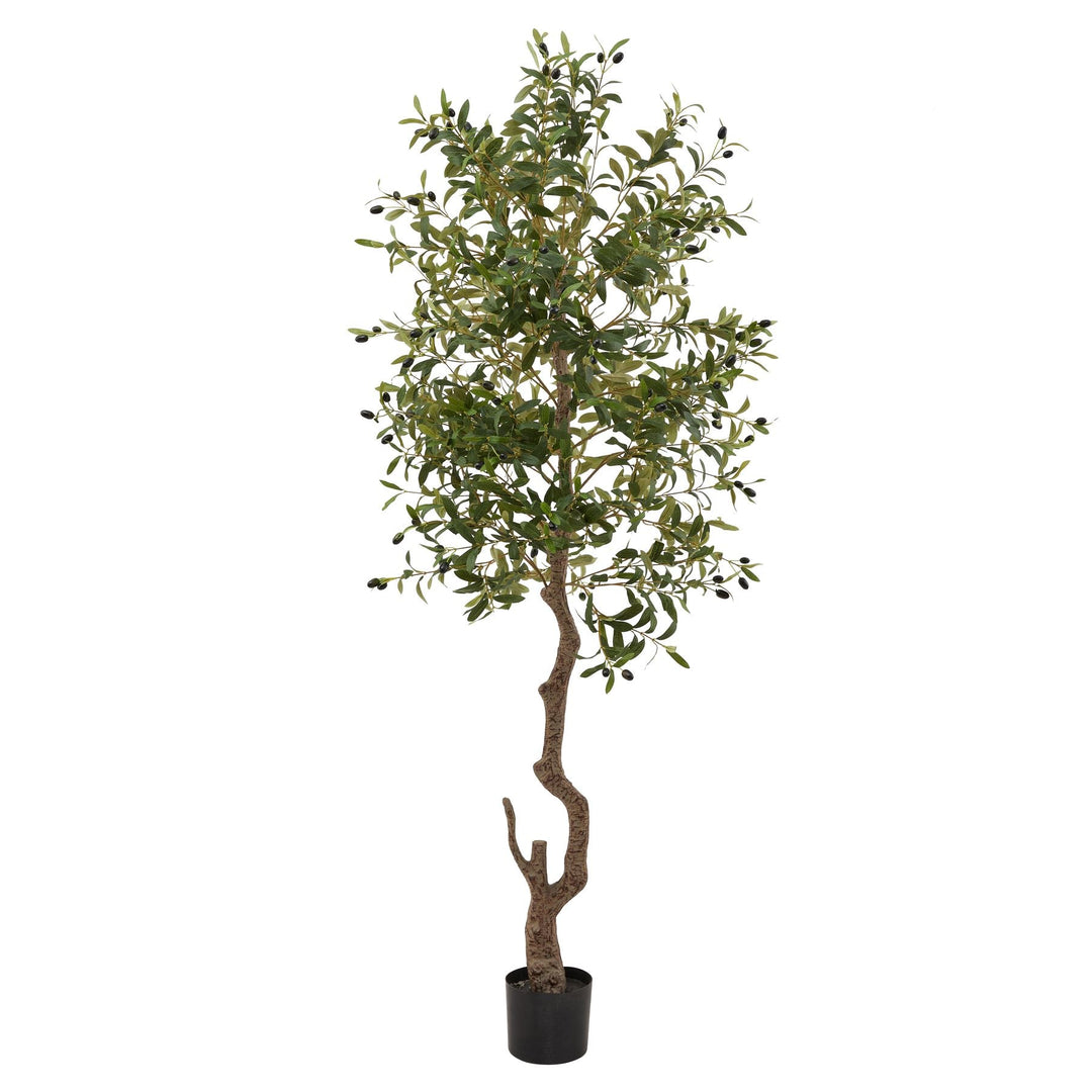 Calabria Large Olive Tree - Modern Rattan Ltd