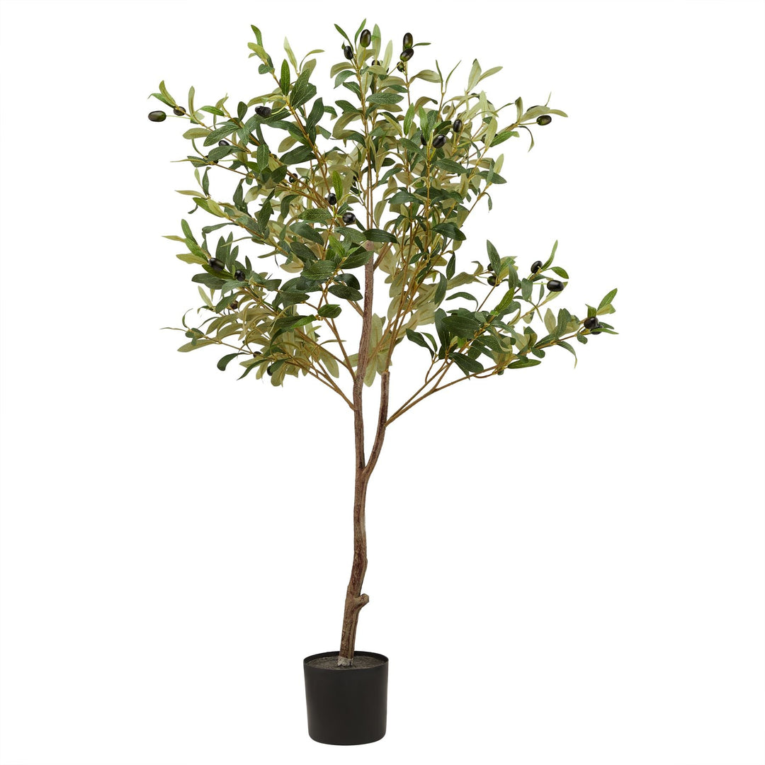 Calabria Small Olive Tree - Modern Rattan Ltd