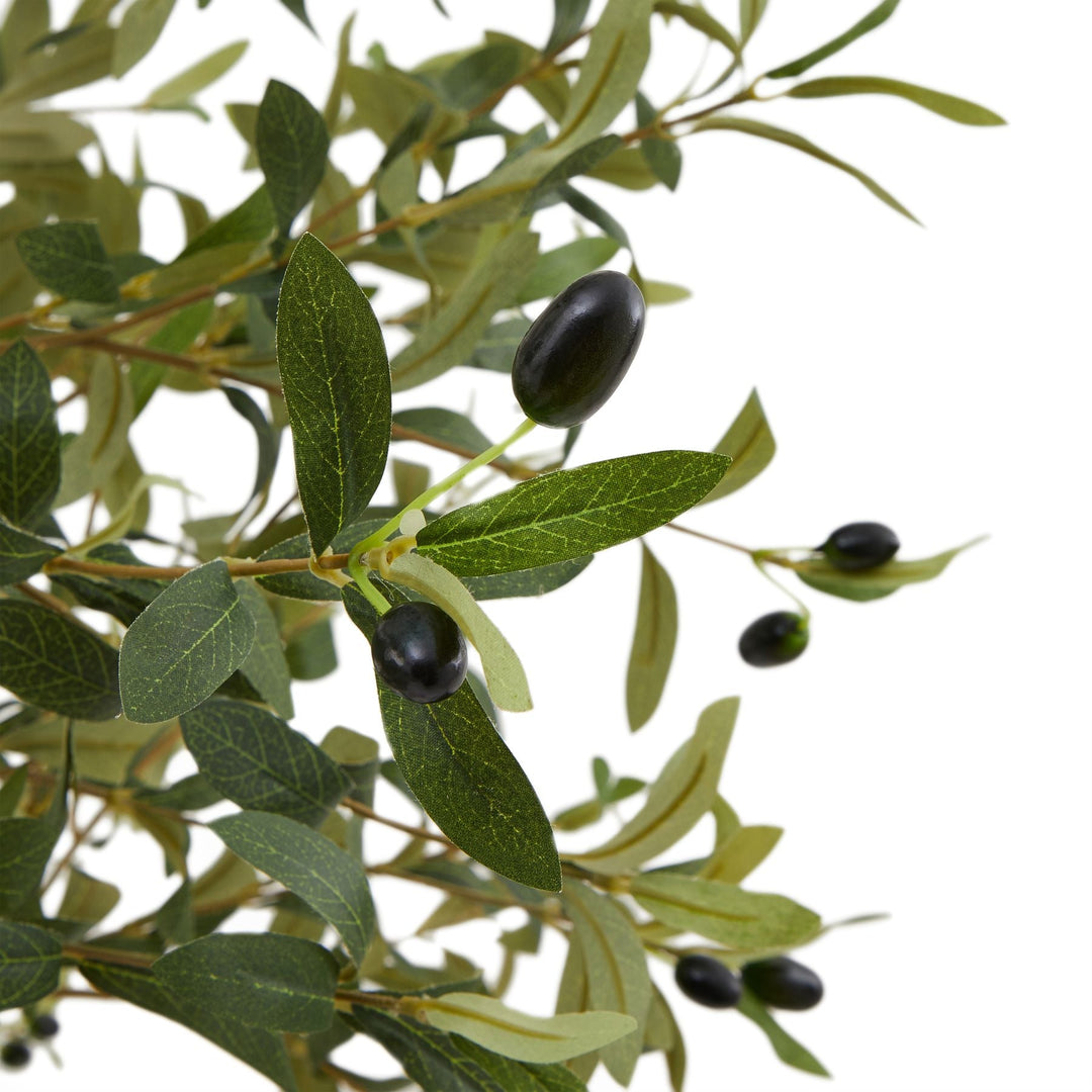 Calabria Small Olive Tree - Modern Rattan Ltd