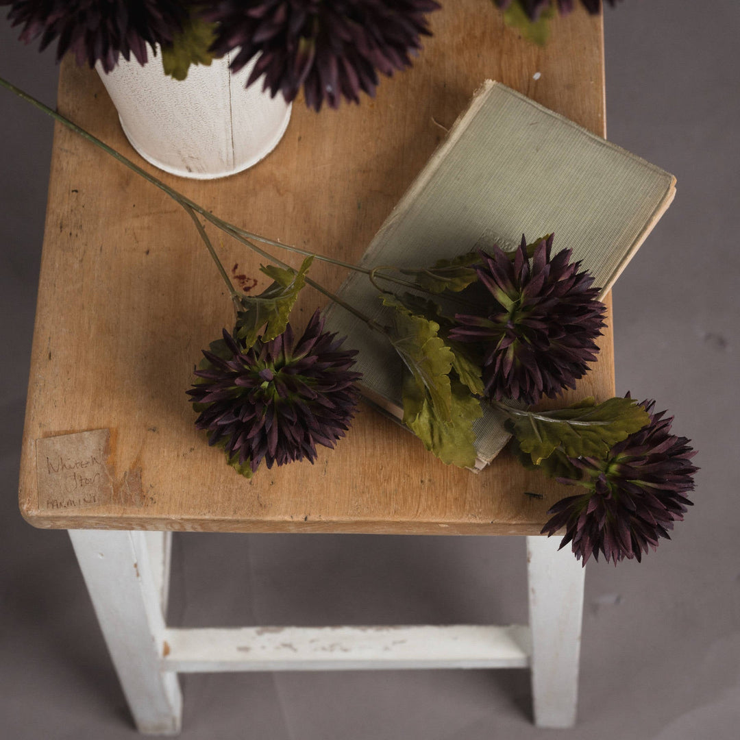 Chocolate Chrysanthemum - Modern Rattan Ltd