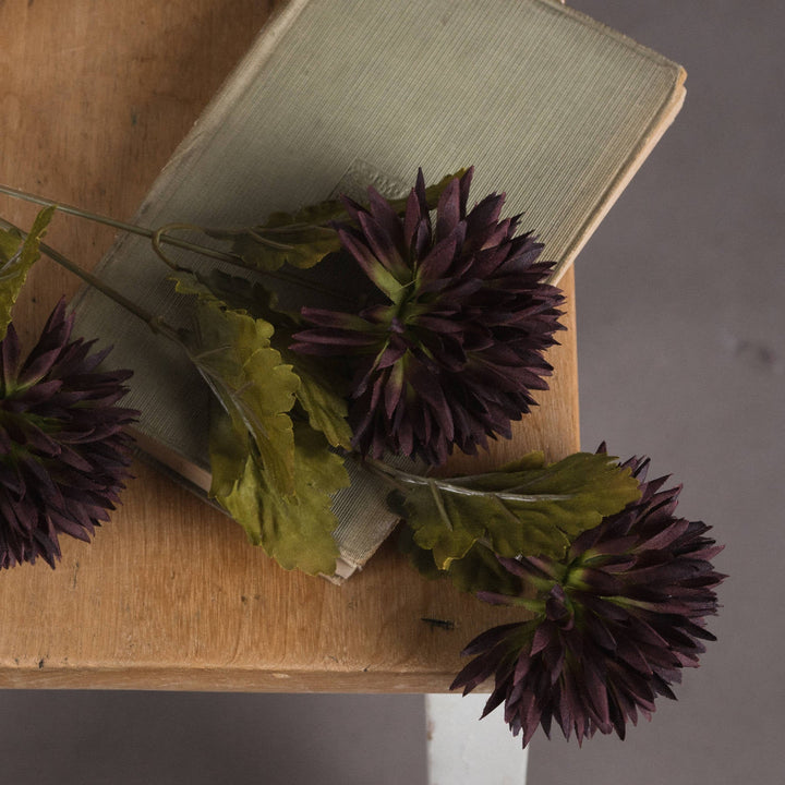 Chocolate Chrysanthemum - Modern Rattan Ltd