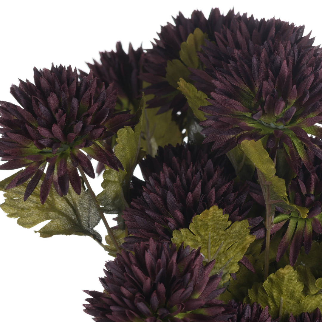 Chocolate Chrysanthemum - Modern Rattan Ltd