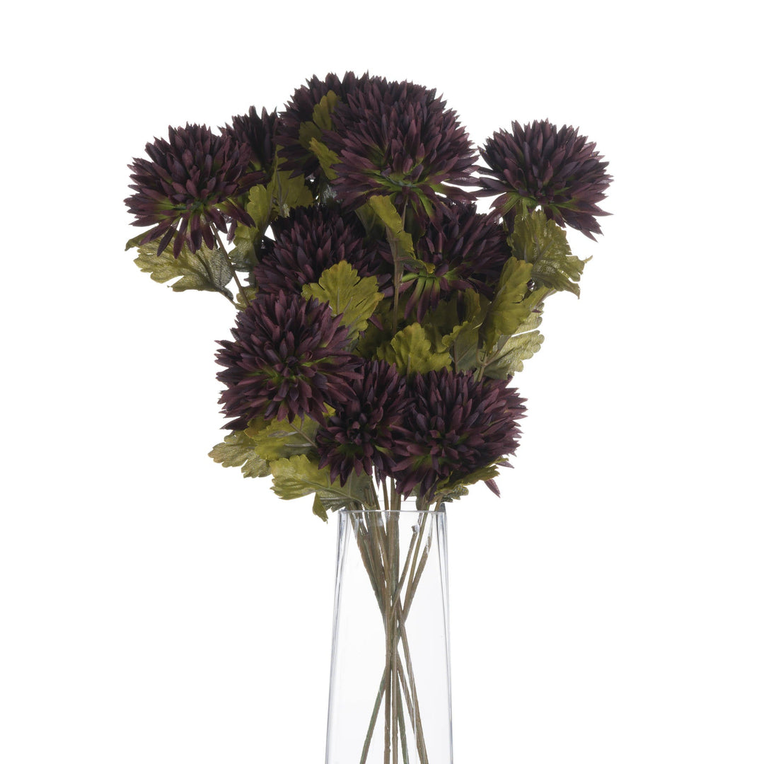 Chocolate Chrysanthemum - Modern Rattan Ltd