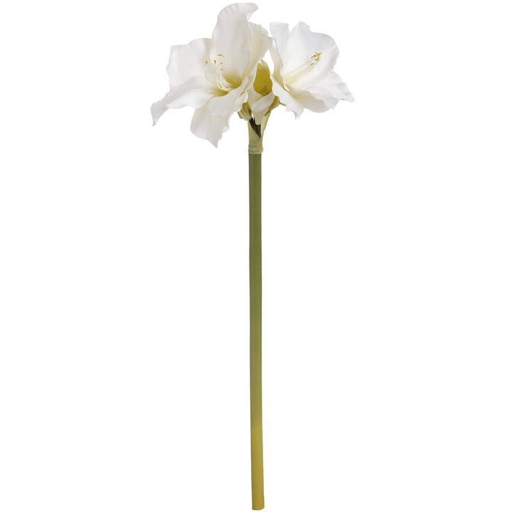 Classic White Amaryllis Flower - Modern Rattan Ltd