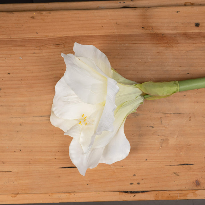 Classic White Amaryllis Flower - Modern Rattan Ltd