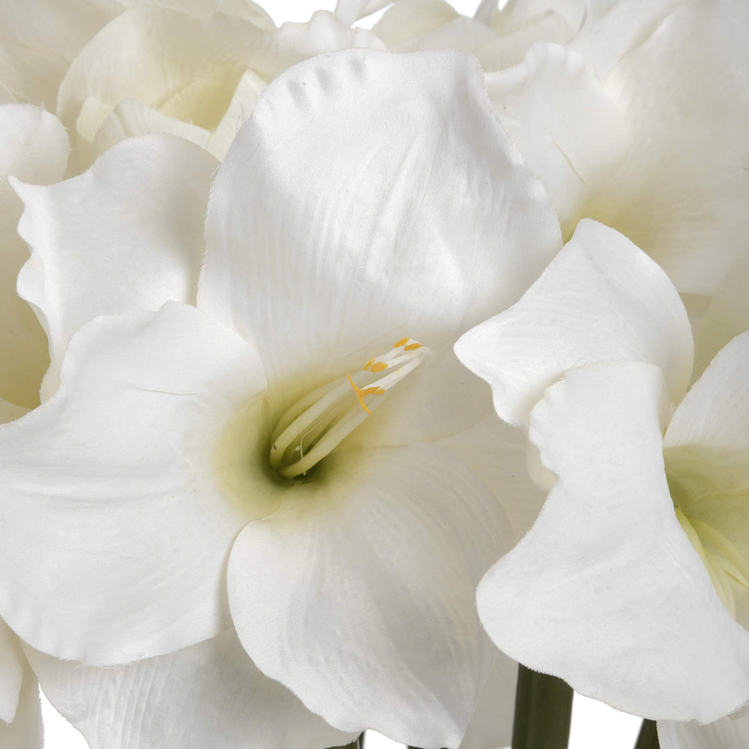 Classic White Amaryllis Flower - Modern Rattan Ltd