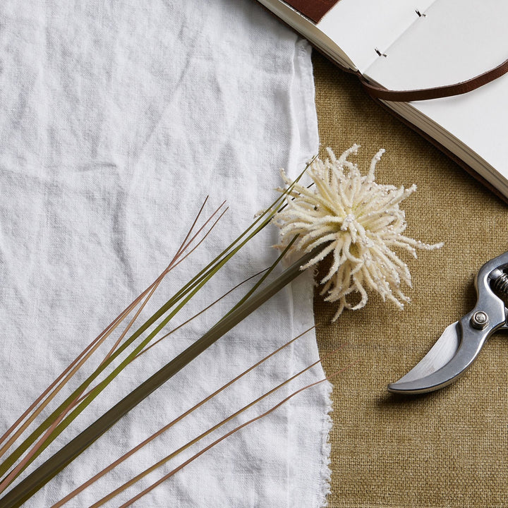 Cream Aster Spider Chrysanthemum Stem - Modern Rattan Ltd