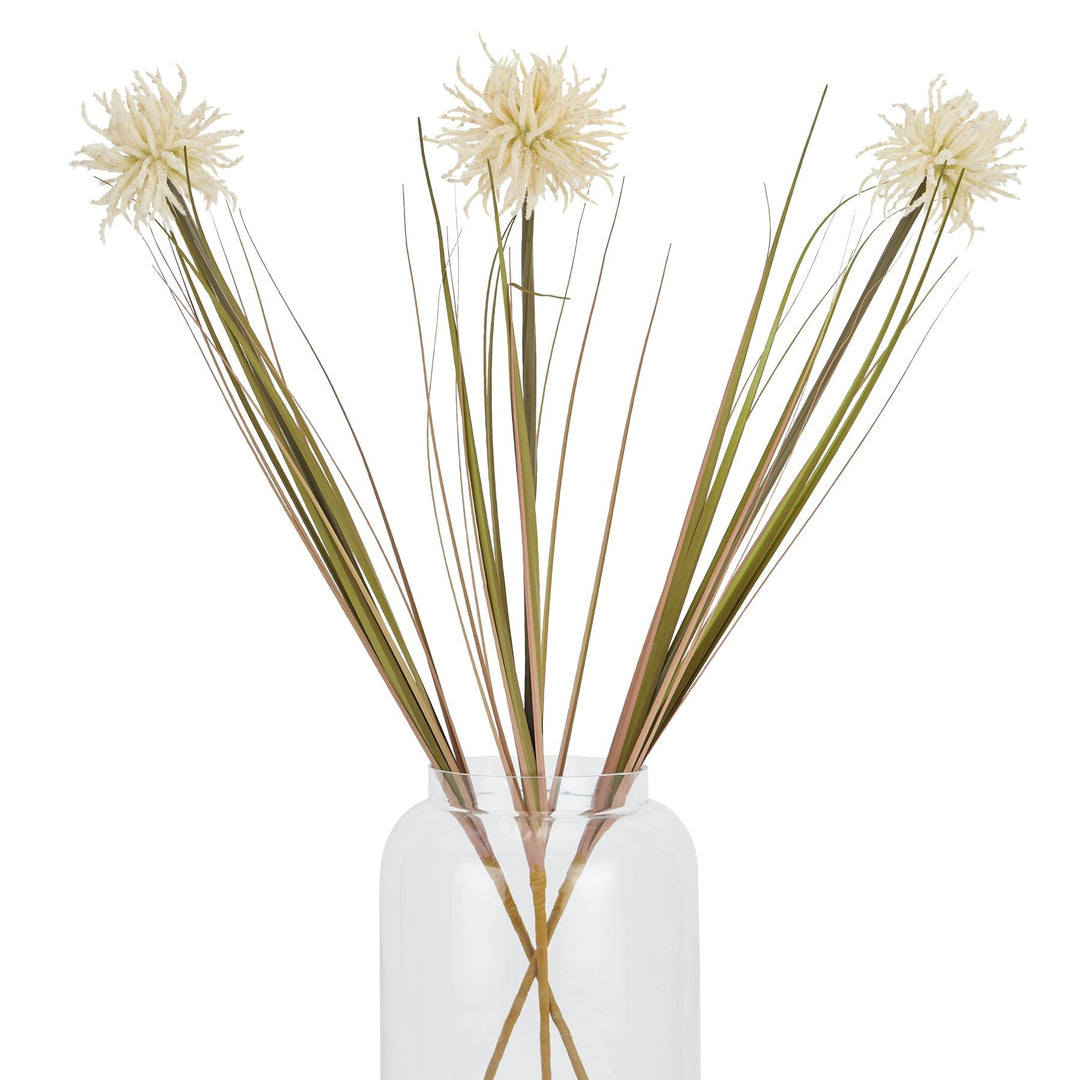 Cream Aster Spider Chrysanthemum Stem - Modern Rattan Ltd