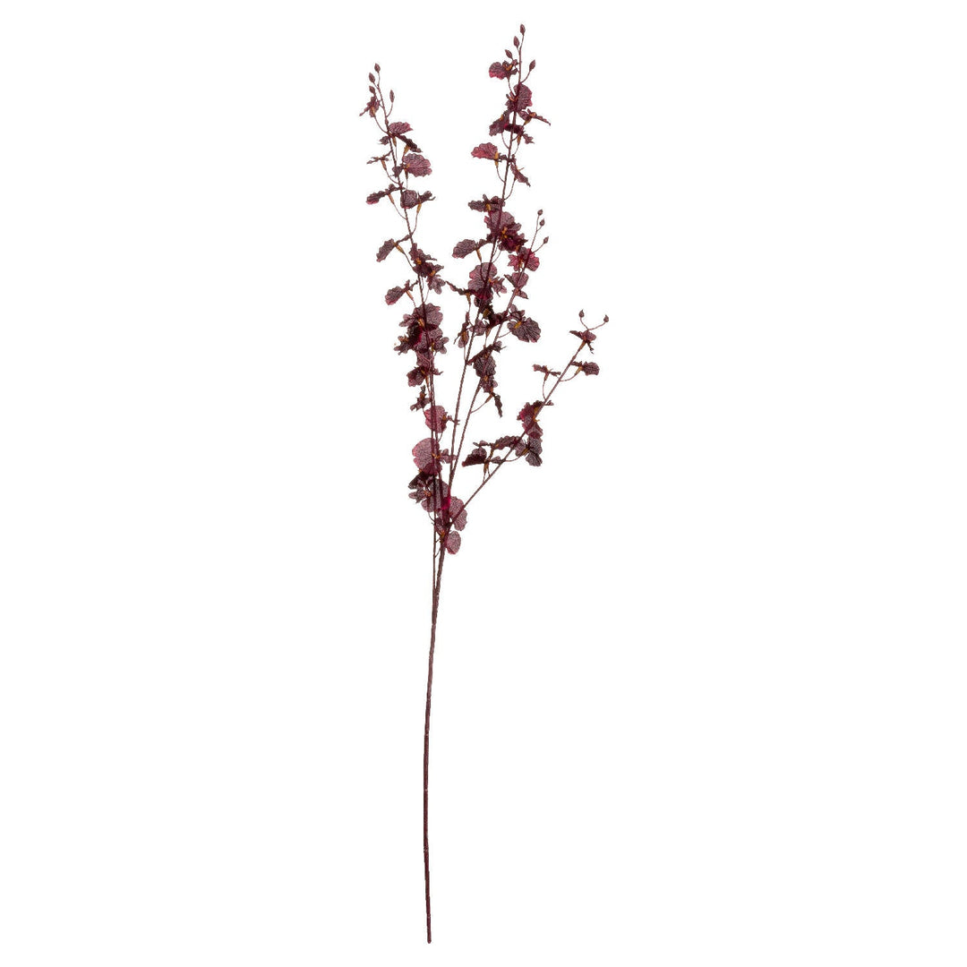 Deep Burgundy Orchid Spray - Modern Rattan Ltd