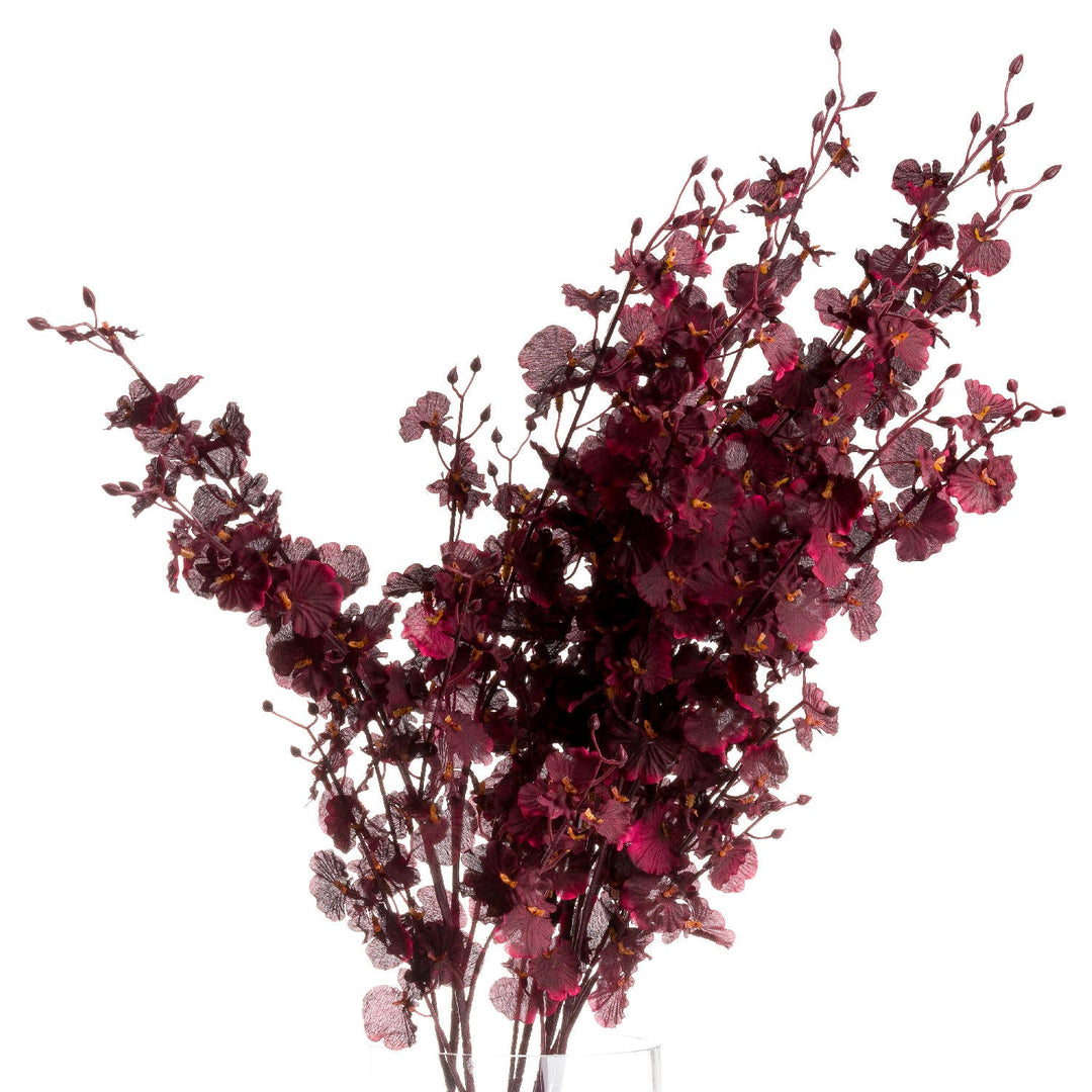 Deep Burgundy Orchid Spray - Modern Rattan Ltd