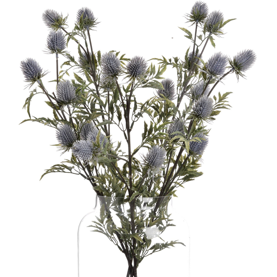 Eryngium Blue Thistle - Modern Rattan Ltd