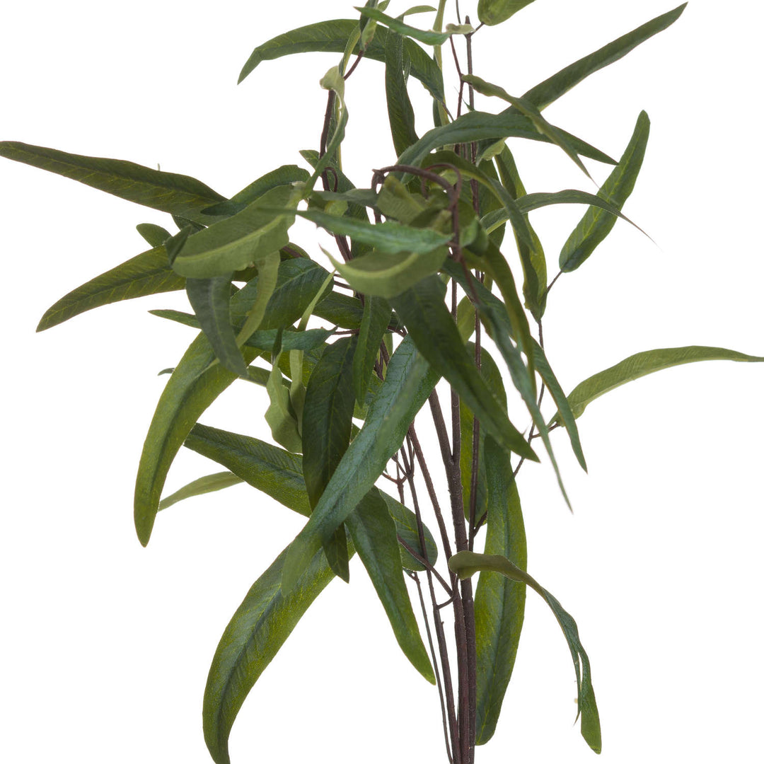 Eucalyptus Nicholii Spray - Modern Rattan Ltd