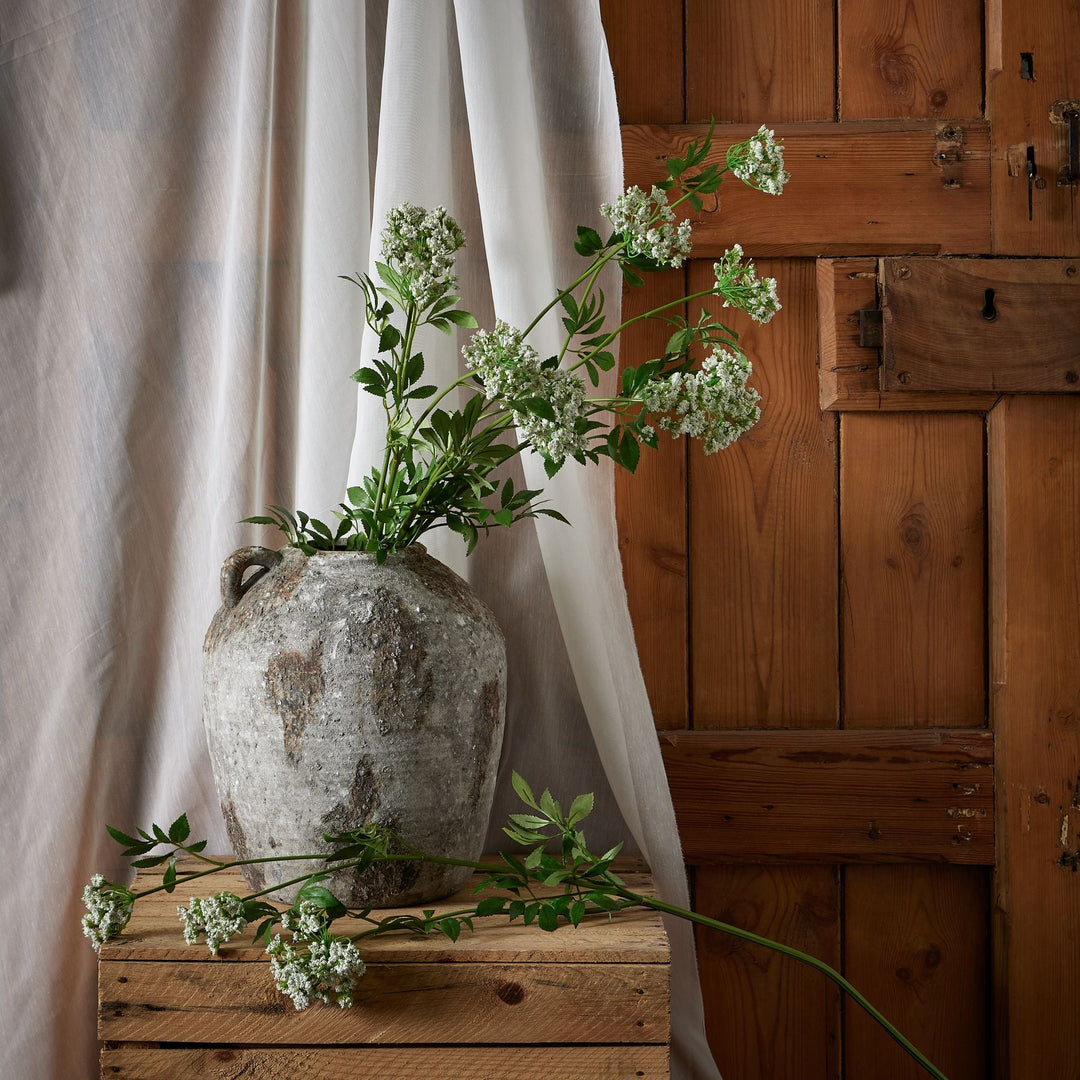 Faux White Cow Parsley Ammi - Modern Rattan Ltd