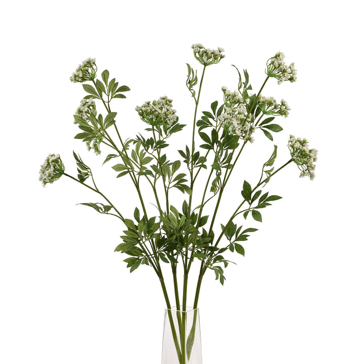 Faux White Cow Parsley Ammi - Modern Rattan Ltd