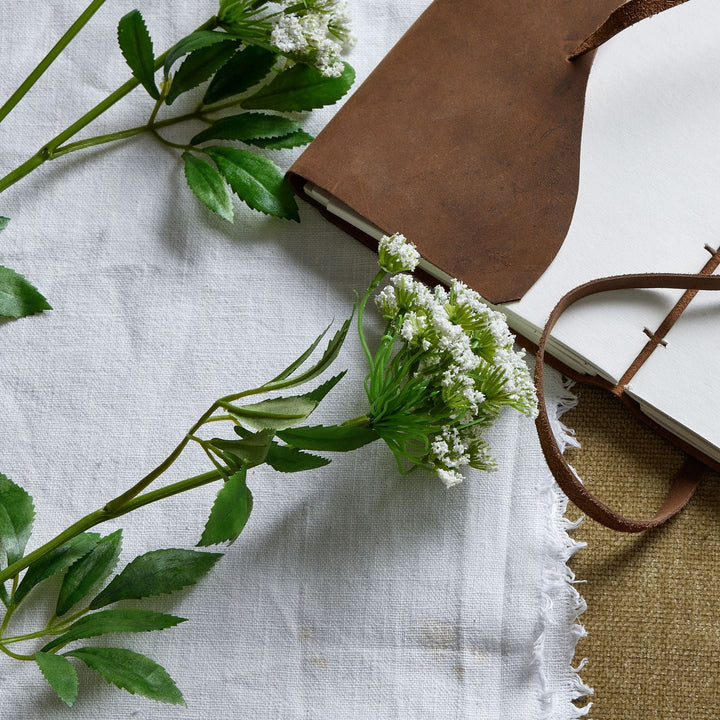 Faux White Cow Parsley Ammi - Modern Rattan Ltd