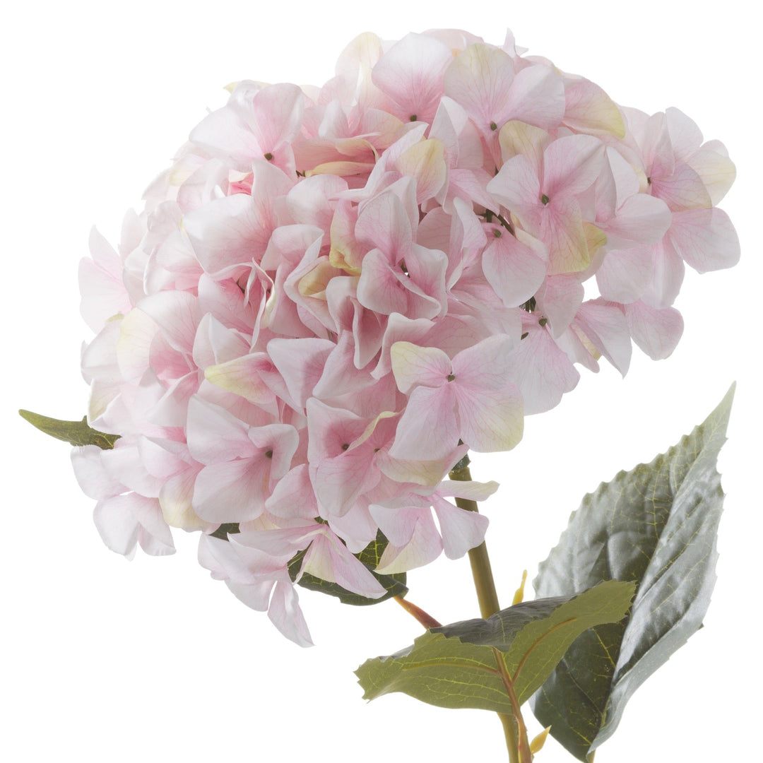 Giant Pink Hydrangea - Modern Rattan Ltd