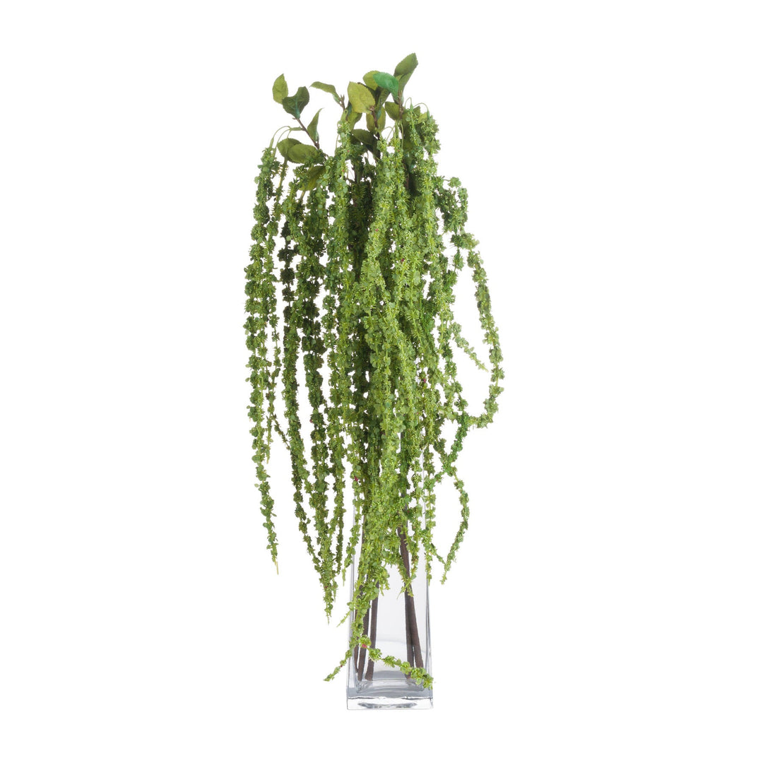 Green Amaranthus - Modern Rattan Ltd