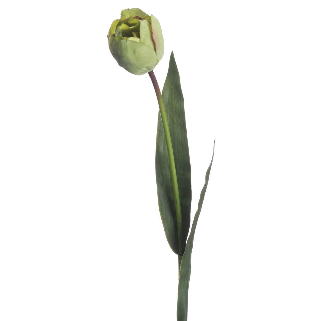 Green Tulip - Modern Rattan Ltd