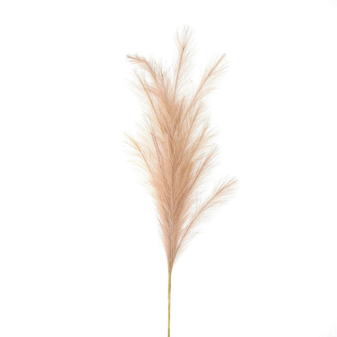 Large Faux Pampas Grass Stem - Modern Rattan Ltd