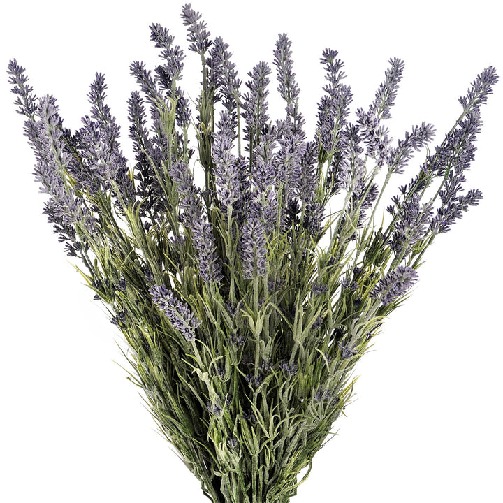 Large Lavender Bush - Modern Rattan Ltd