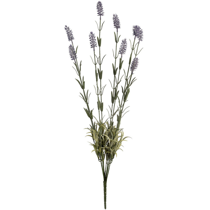 Large Lavender Spray - Modern Rattan Ltd