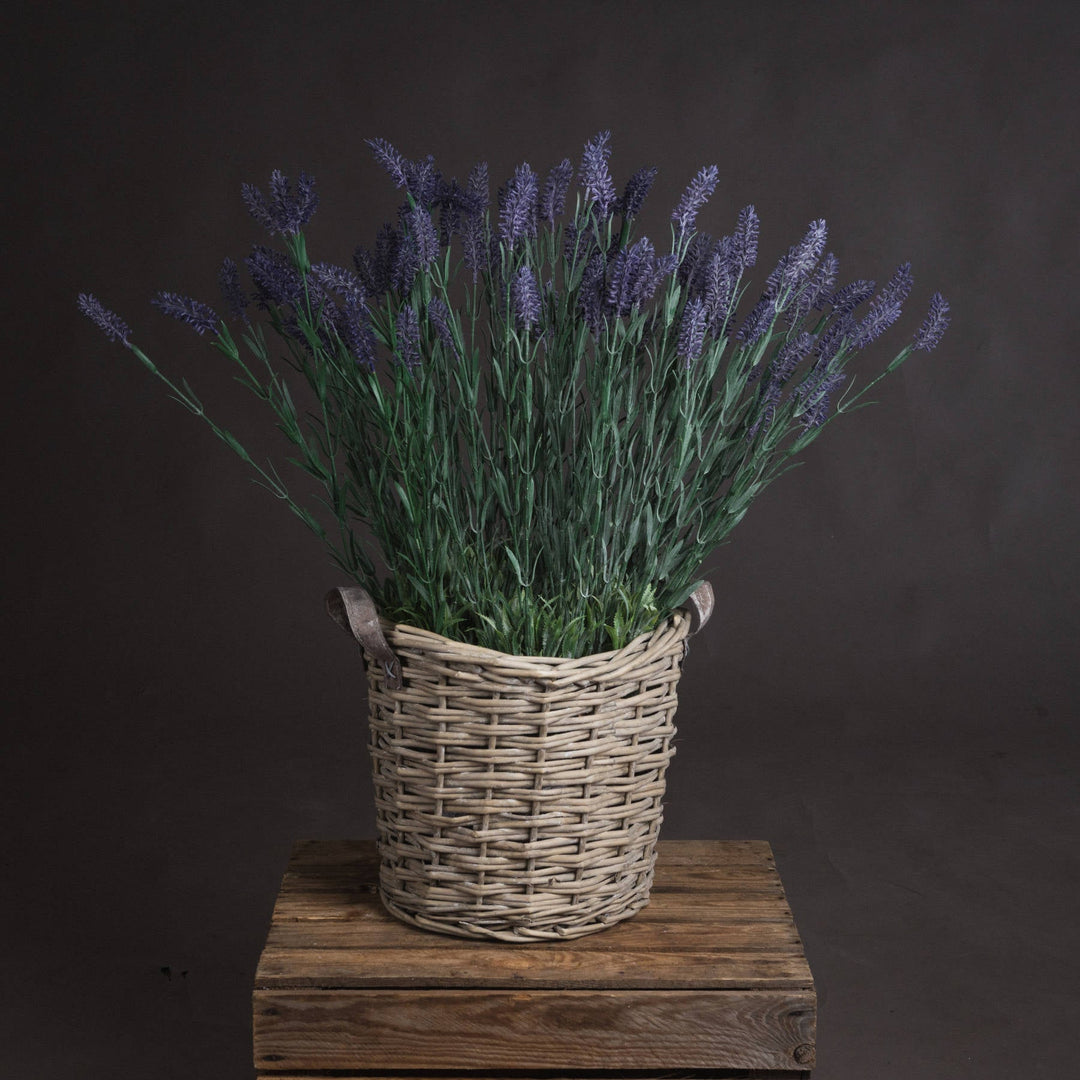 Large Lavender Spray - Modern Rattan Ltd