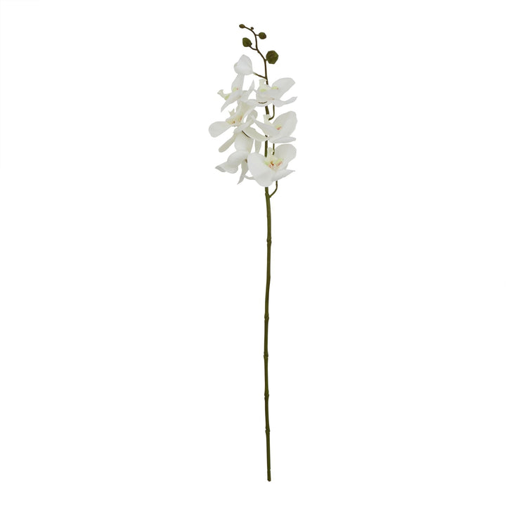 Large White Butterfly Orchid Stem - Modern Rattan Ltd