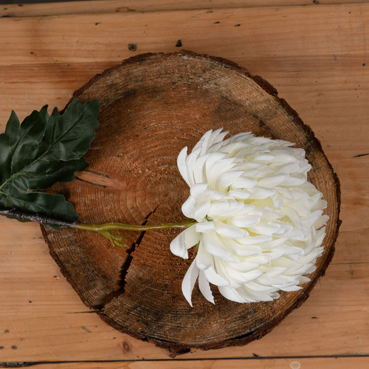 Large White Chrysanthemum - Modern Rattan Ltd