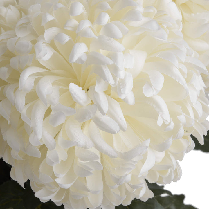 Large White Chrysanthemum - Modern Rattan Ltd