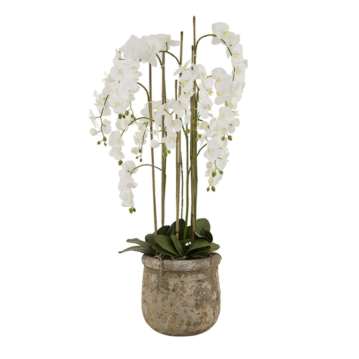 Large White Orchid In Antique Stone Pot - Modern Rattan Ltd