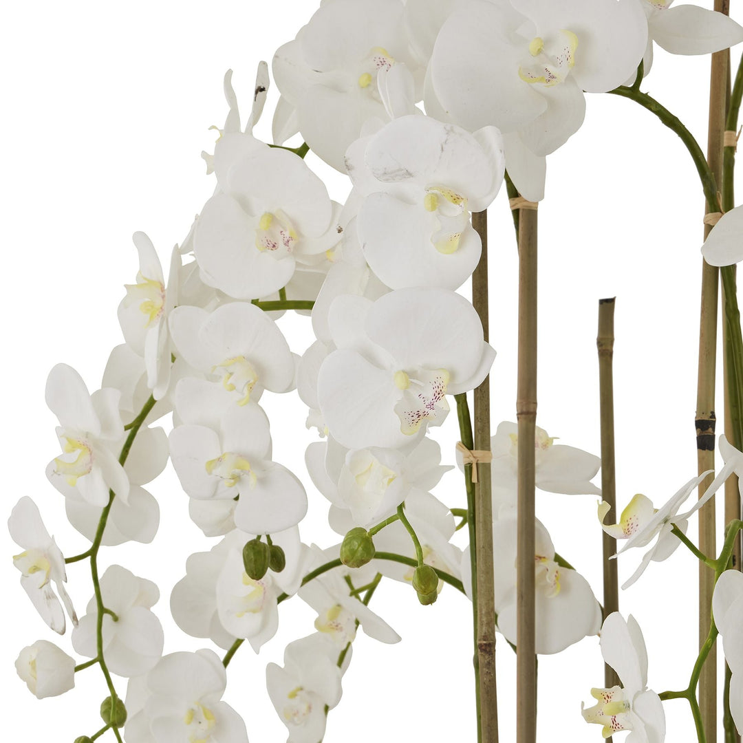 Large White Orchid In Antique Stone Pot - Modern Rattan Ltd