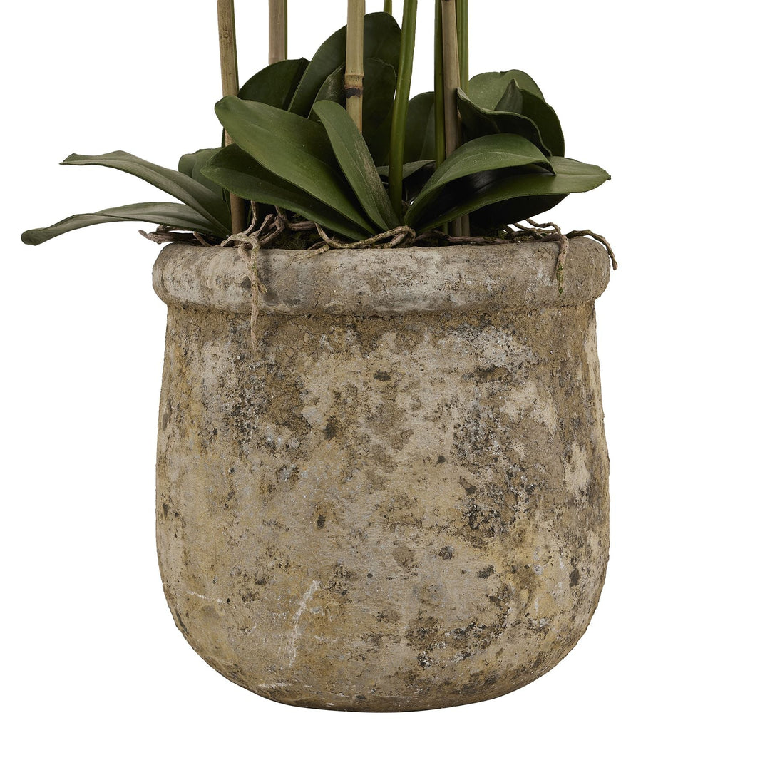 Large White Orchid In Antique Stone Pot - Modern Rattan Ltd