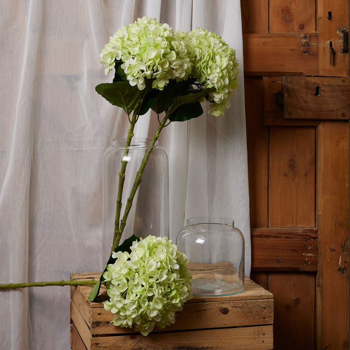 Oversized Green Hydrangea - Modern Rattan Ltd