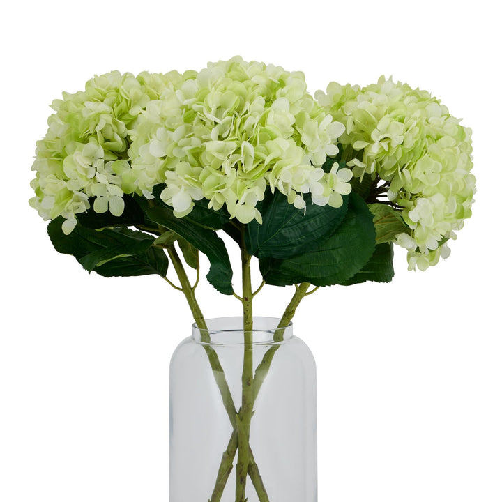 Oversized Green Hydrangea - Modern Rattan Ltd