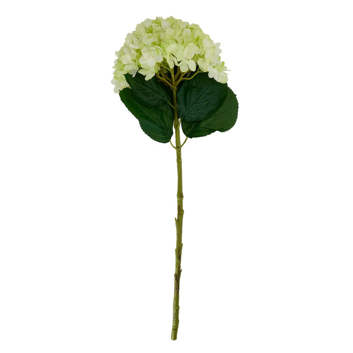 Oversized Green Hydrangea - Modern Rattan Ltd