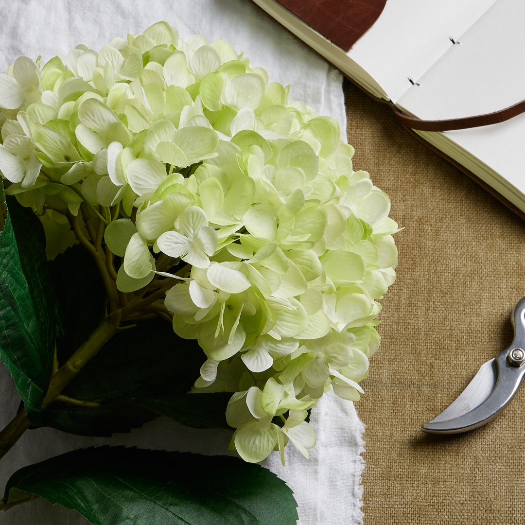 Oversized Green Hydrangea - Modern Rattan Ltd