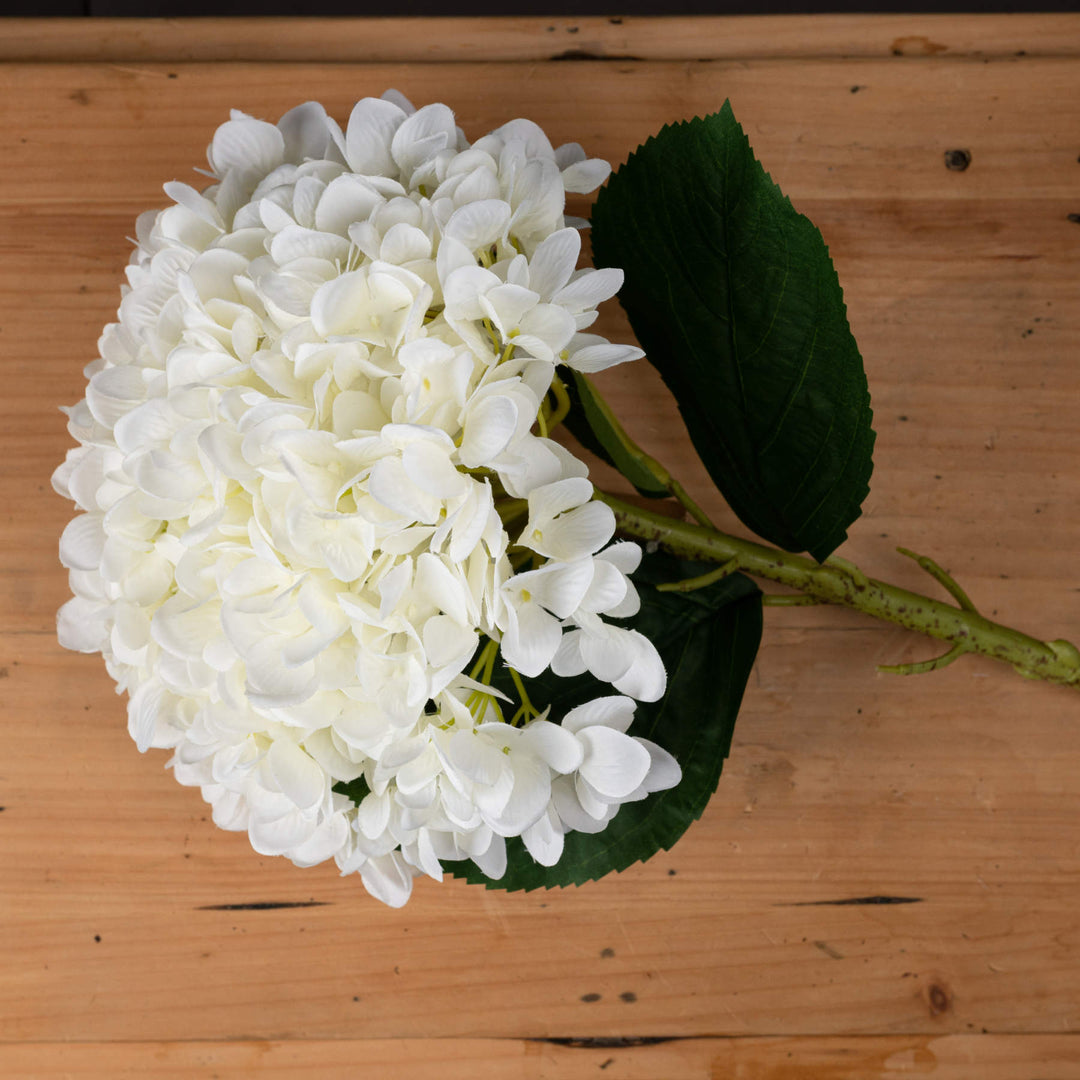 Oversized White Hydrangea - Modern Rattan Ltd