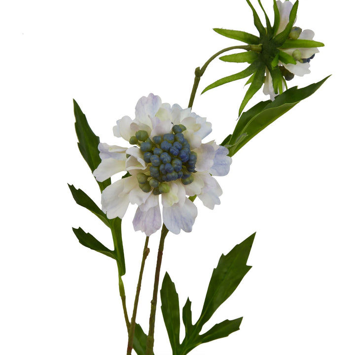 Pale Blue Scabious Stem - Modern Rattan Ltd